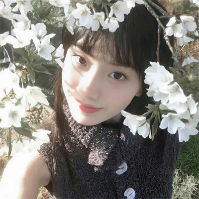 妃子笑